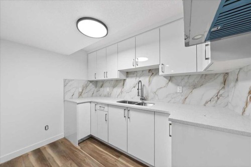 34 Saddlecrest Crescent Ne, Calgary, AB - Indoor Photo Showing Kitchen With Double Sink