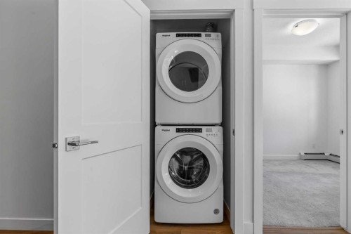 2113-200 Seton Circle Se, Calgary, AB - Indoor Photo Showing Laundry Room