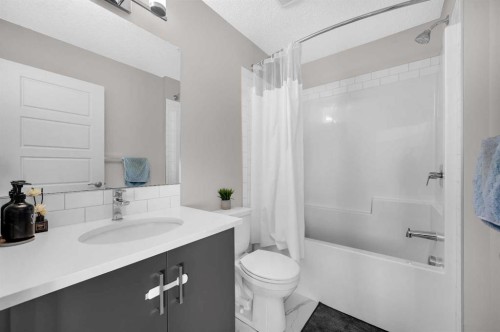 136-301 Redstone Boulevard Ne, Calgary, AB - Indoor Photo Showing Bathroom