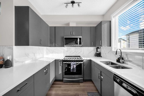 136-301 Redstone Boulevard Ne, Calgary, AB - Indoor Photo Showing Kitchen With Double Sink With Upgraded Kitchen