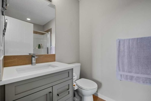 209 New Brighton Walk Se, Calgary, AB - Indoor Photo Showing Bathroom