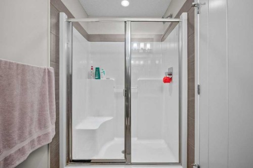 209 New Brighton Walk Se, Calgary, AB - Indoor Photo Showing Bathroom
