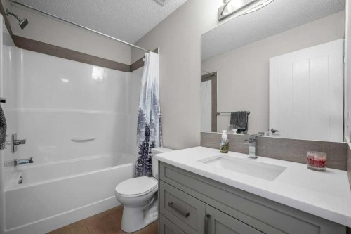 209 New Brighton Walk Se, Calgary, AB - Indoor Photo Showing Bathroom