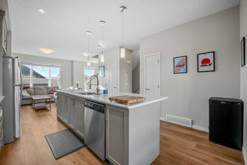 209 New Brighton Walk Se, Calgary, AB - Indoor Photo Showing Kitchen With Upgraded Kitchen