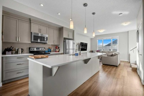 209 New Brighton Walk Se, Calgary, AB - Indoor Photo Showing Kitchen With Upgraded Kitchen