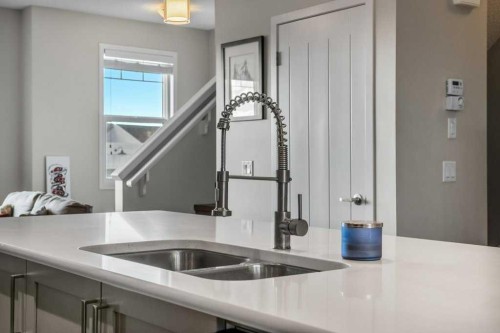 209 New Brighton Walk Se, Calgary, AB - Indoor Photo Showing Kitchen With Double Sink