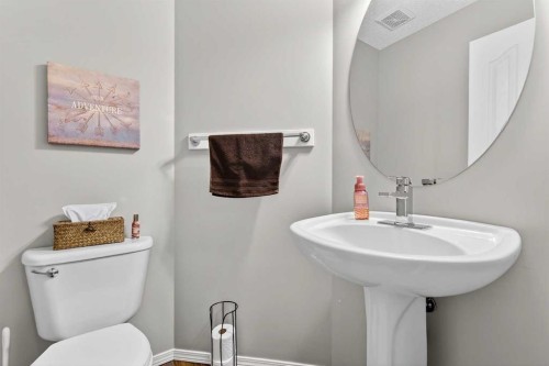 88 Cramond Green Se, Calgary, AB - Indoor Photo Showing Bathroom