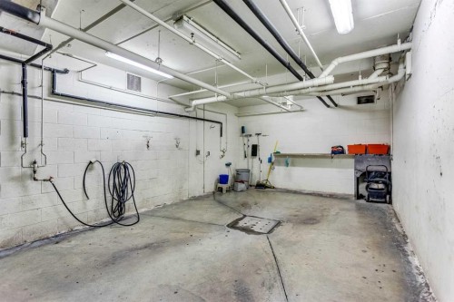 236-15 Everstone Drive Sw, Calgary, AB - Indoor Photo Showing Garage
