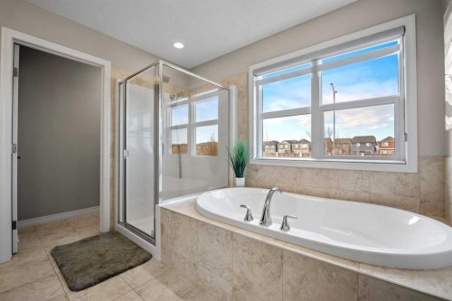 206 Mahogany Passage Se, Calgary, AB - Indoor Photo Showing Bathroom