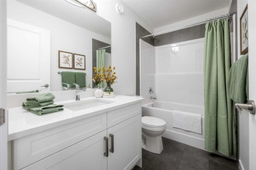 178 Sora Way Se, Calgary, AB - Indoor Photo Showing Bathroom