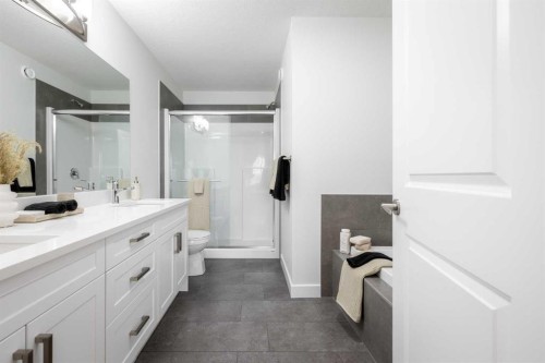 133 Sora Gardens Se, Calgary, AB - Indoor Photo Showing Bathroom