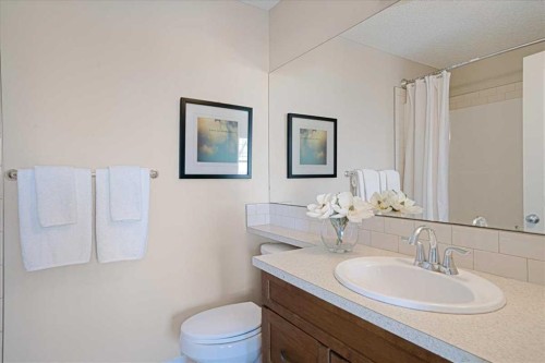 195 Marquis Common Se, Calgary, AB - Indoor Photo Showing Bathroom