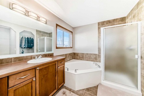 834 Cranston Drive Se, Calgary, AB - Indoor Photo Showing Bathroom