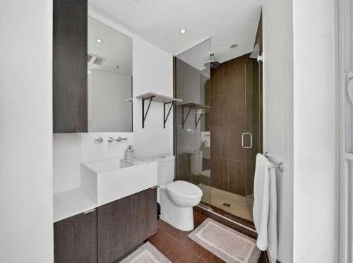 802-615 6 Avenue Se, Calgary, AB - Indoor Photo Showing Bathroom