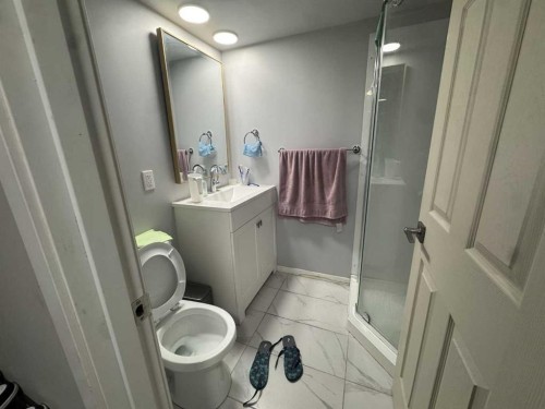 2105 New Brighton Gardens Se, Calgary, AB - Indoor Photo Showing Bathroom