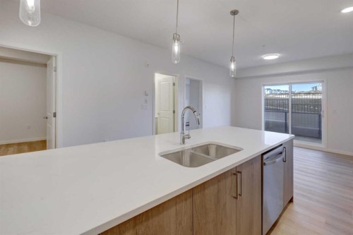 118-245 Edith Place Nw, Calgary, AB - Indoor Photo Showing Kitchen With Double Sink