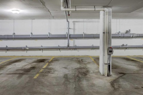 118-245 Edith Place Nw, Calgary, AB - Indoor Photo Showing Garage