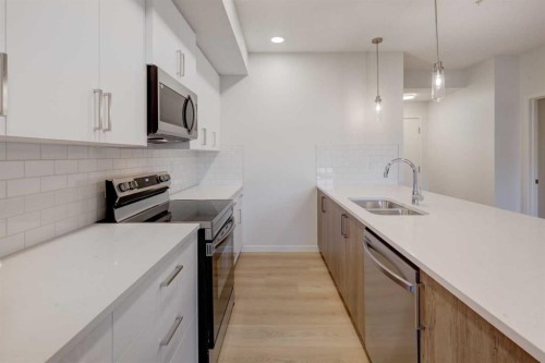 118-245 Edith Place Nw, Calgary, AB - Indoor Photo Showing Kitchen With Double Sink With Upgraded Kitchen