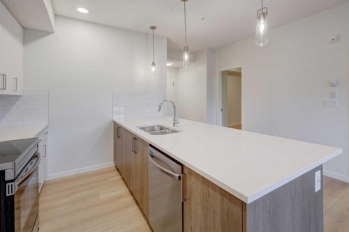 118-245 Edith Place Nw, Calgary, AB - Indoor Photo Showing Kitchen With Double Sink With Upgraded Kitchen
