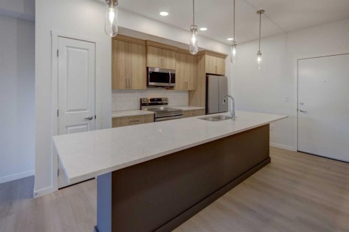 119-245 Edith Place Nw, Calgary, AB - Indoor Photo Showing Kitchen With Upgraded Kitchen
