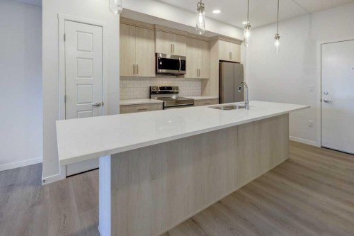 308-245 Edith Place Nw, Calgary, AB - Indoor Photo Showing Kitchen With Double Sink With Upgraded Kitchen