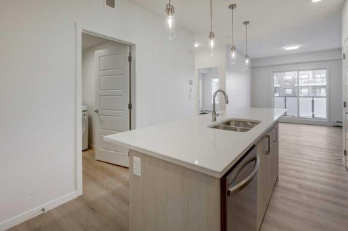 308-245 Edith Place Nw, Calgary, AB - Indoor Photo Showing Kitchen With Double Sink With Upgraded Kitchen