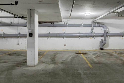 308-245 Edith Place Nw, Calgary, AB - Indoor Photo Showing Garage