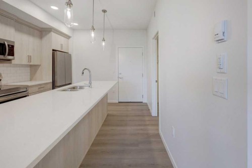 308-245 Edith Place Nw, Calgary, AB - Indoor Photo Showing Kitchen With Double Sink With Upgraded Kitchen