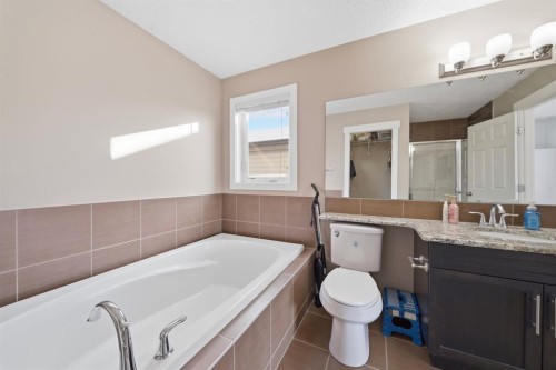 639 Copperpond Circle Se, Calgary, AB - Indoor Photo Showing Bathroom