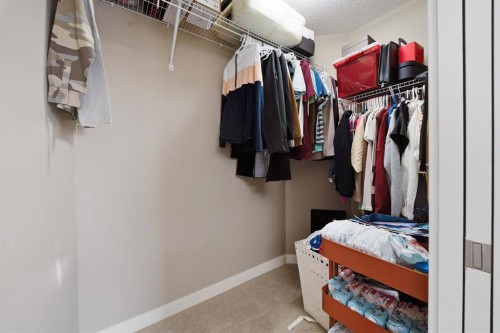 639 Copperpond Circle Se, Calgary, AB - Indoor With Storage