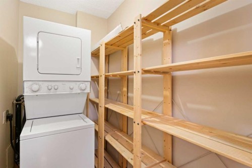 105-345 4 Avenue Ne, Calgary, AB - Indoor Photo Showing Laundry Room