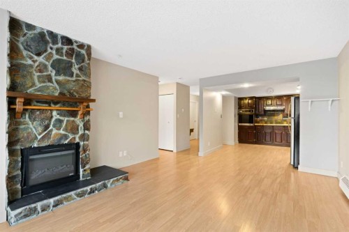 105-345 4 Avenue Ne, Calgary, AB - Indoor Photo Showing Living Room With Fireplace