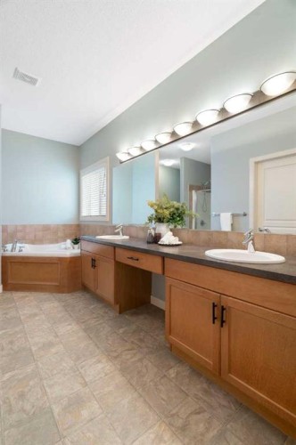264 Windermere Drive, Chestermere, AB - Indoor Photo Showing Bathroom