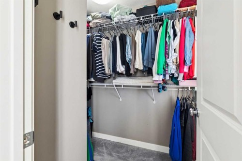 124 Cascades Pass, Chestermere, AB - Indoor With Storage