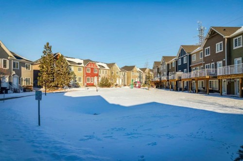 124 Cascades Pass, Chestermere, AB - Outdoor