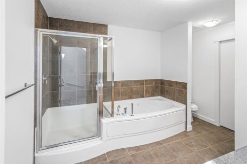 156 9 Street Ne, Calgary, AB - Indoor Photo Showing Bathroom