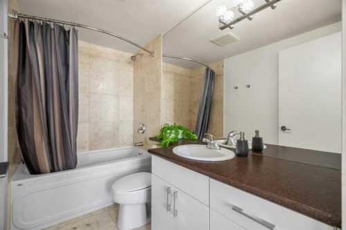 619-8710 Horton Road Sw, Calgary, AB - Indoor Photo Showing Bathroom