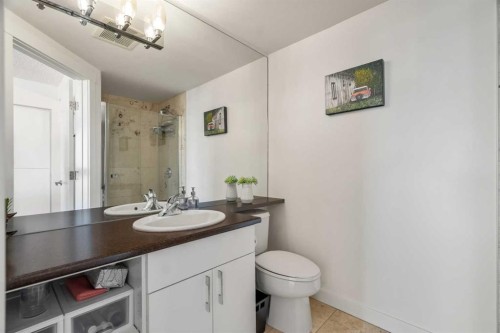 619-8710 Horton Road Sw, Calgary, AB - Indoor Photo Showing Bathroom