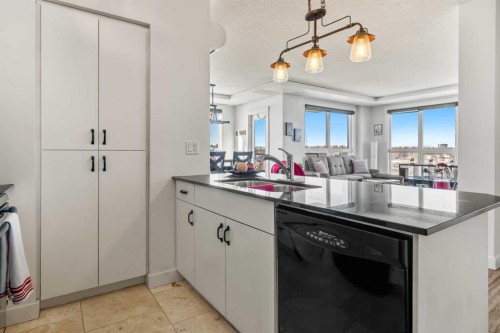 619-8710 Horton Road Sw, Calgary, AB - Indoor Photo Showing Kitchen With Double Sink