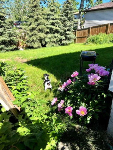 139 Hodson Crescent, Okotoks, AB - Outdoor