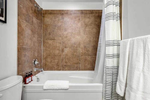 802-211 13 Avenue Se, Calgary, AB - Indoor Photo Showing Bathroom