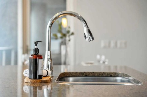 802-211 13 Avenue Se, Calgary, AB - Indoor Photo Showing Kitchen With Double Sink