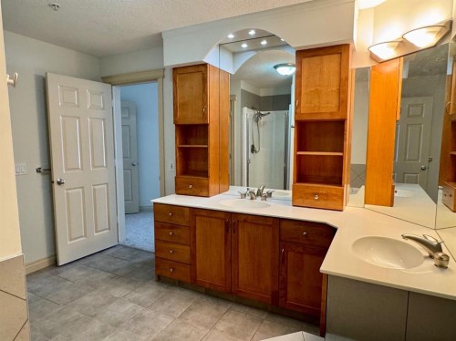 1108-24 Hemlock Crescent Sw, Calgary, AB - Indoor Photo Showing Bathroom