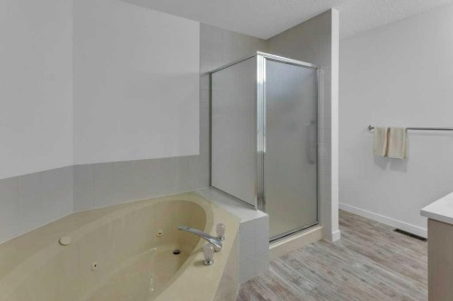 119 Edgepark Villas Nw, Calgary, AB - Indoor Photo Showing Bathroom