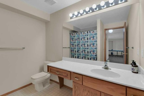 119 Edgepark Villas Nw, Calgary, AB - Indoor Photo Showing Bathroom