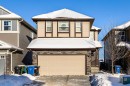 529 Saddlelake Drive Ne, Calgary, AB  - Outdoor 