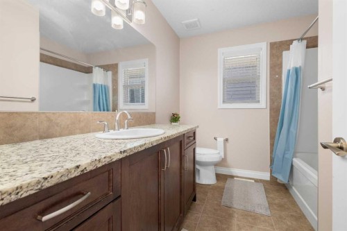 529 Saddlelake Drive Ne, Calgary, AB - Indoor Photo Showing Bathroom