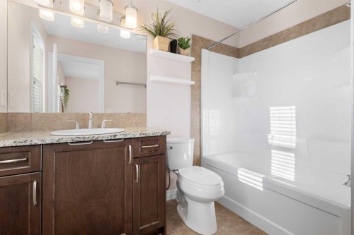 529 Saddlelake Drive Ne, Calgary, AB - Indoor Photo Showing Bathroom