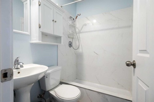 529 Saddlelake Drive Ne, Calgary, AB - Indoor Photo Showing Bathroom