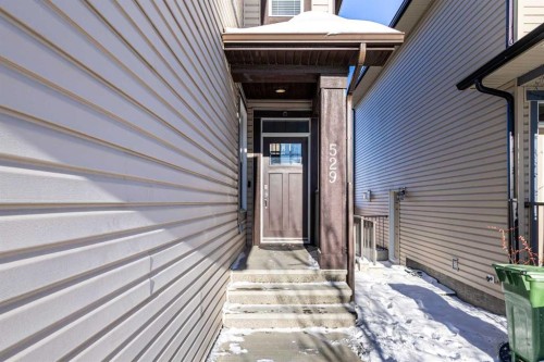 529 Saddlelake Drive Ne, Calgary, AB - Outdoor